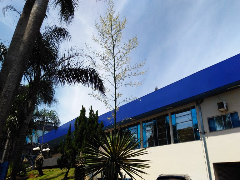 Finalização e Entrega da Obra